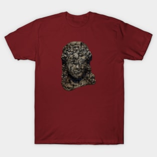 Ancient Statue of Greek Woman Series, Part III T-Shirt